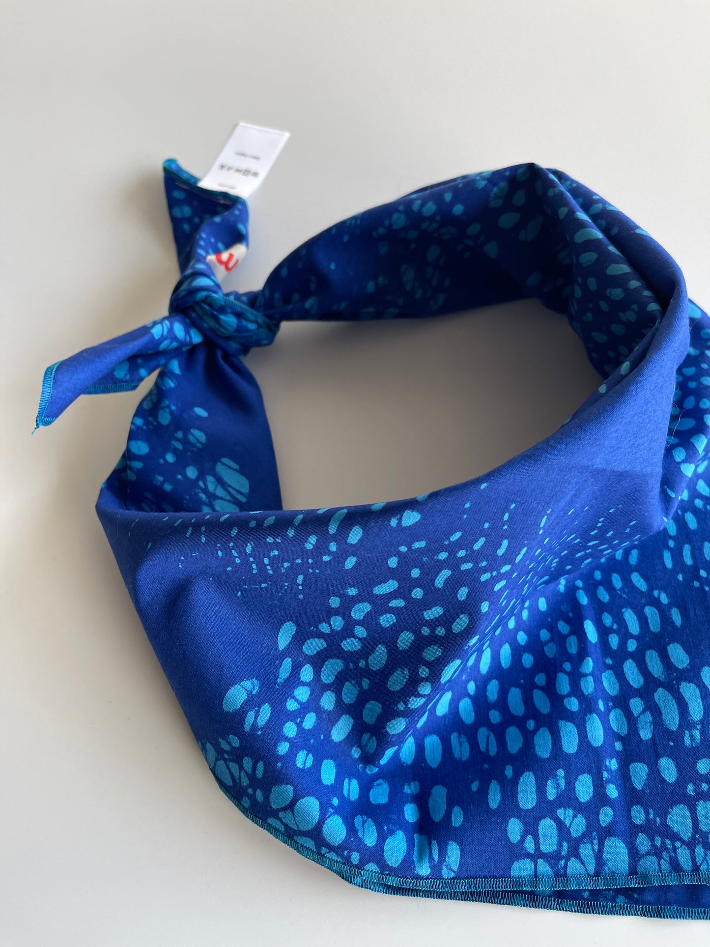 Bandana Bluebelle