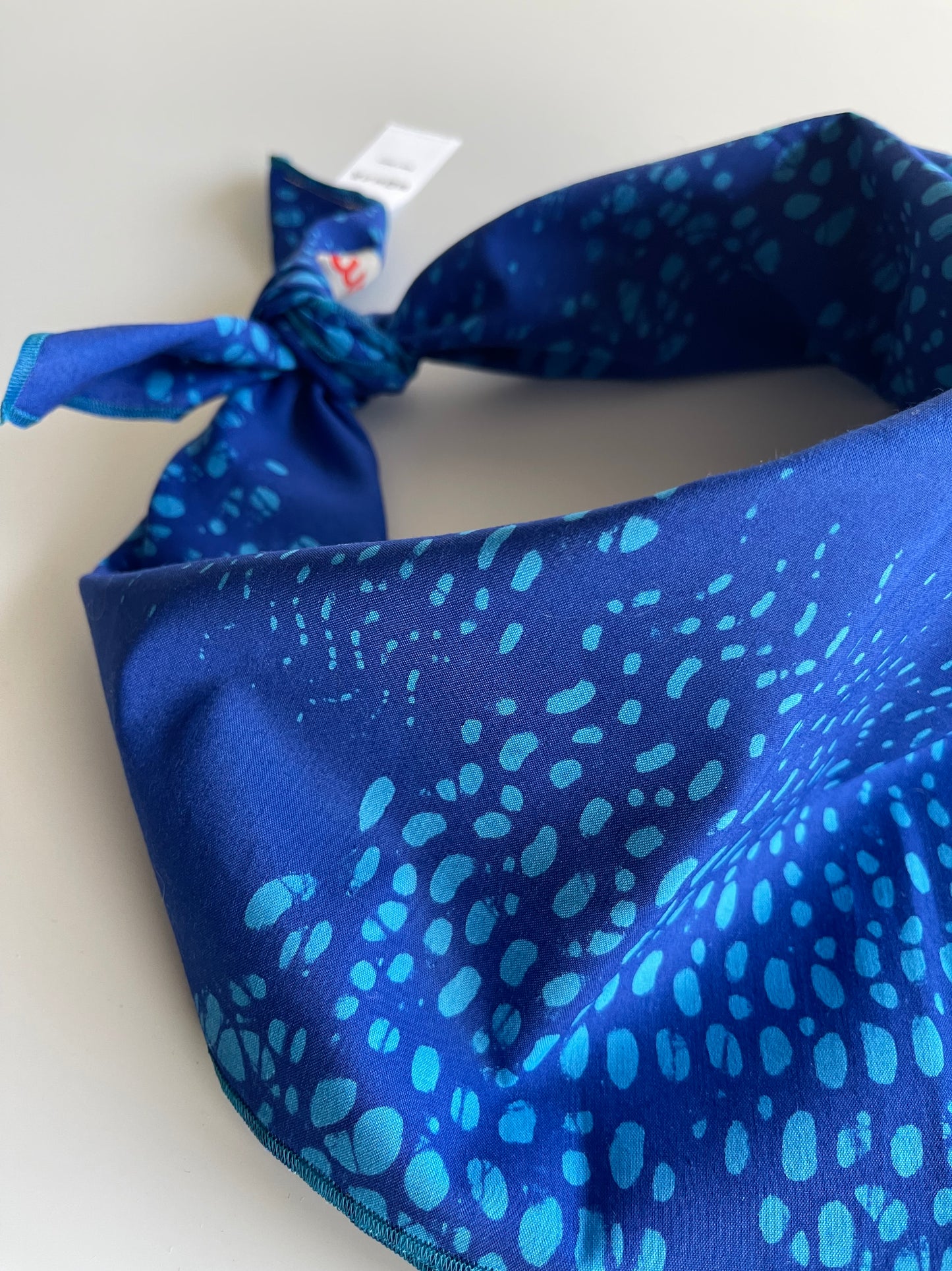 Bandana Bluebelle
